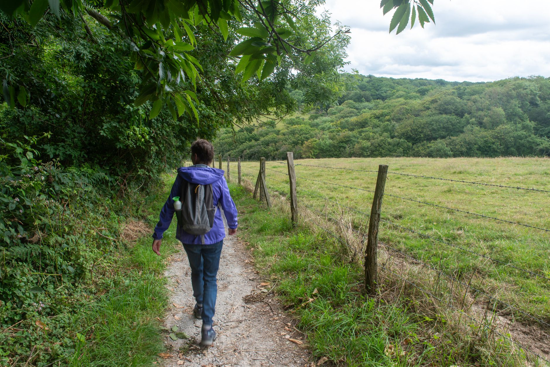 marche rapide sentier
